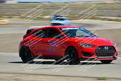 media/May-24-2025-Turn8 Trackdays (Sat) [[034586b55d]]/3 Inter 3/Session 2 (Cotton Corners-Grapevine)/
